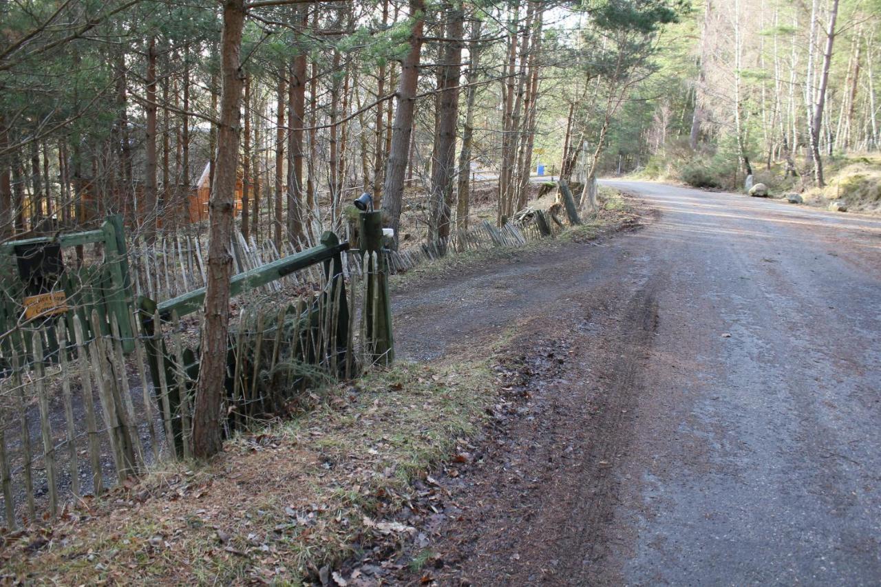 Amazing Cottage With Private Indoor Swim Pool And Hot Tub Grantown-on-Spey Εξωτερικό φωτογραφία