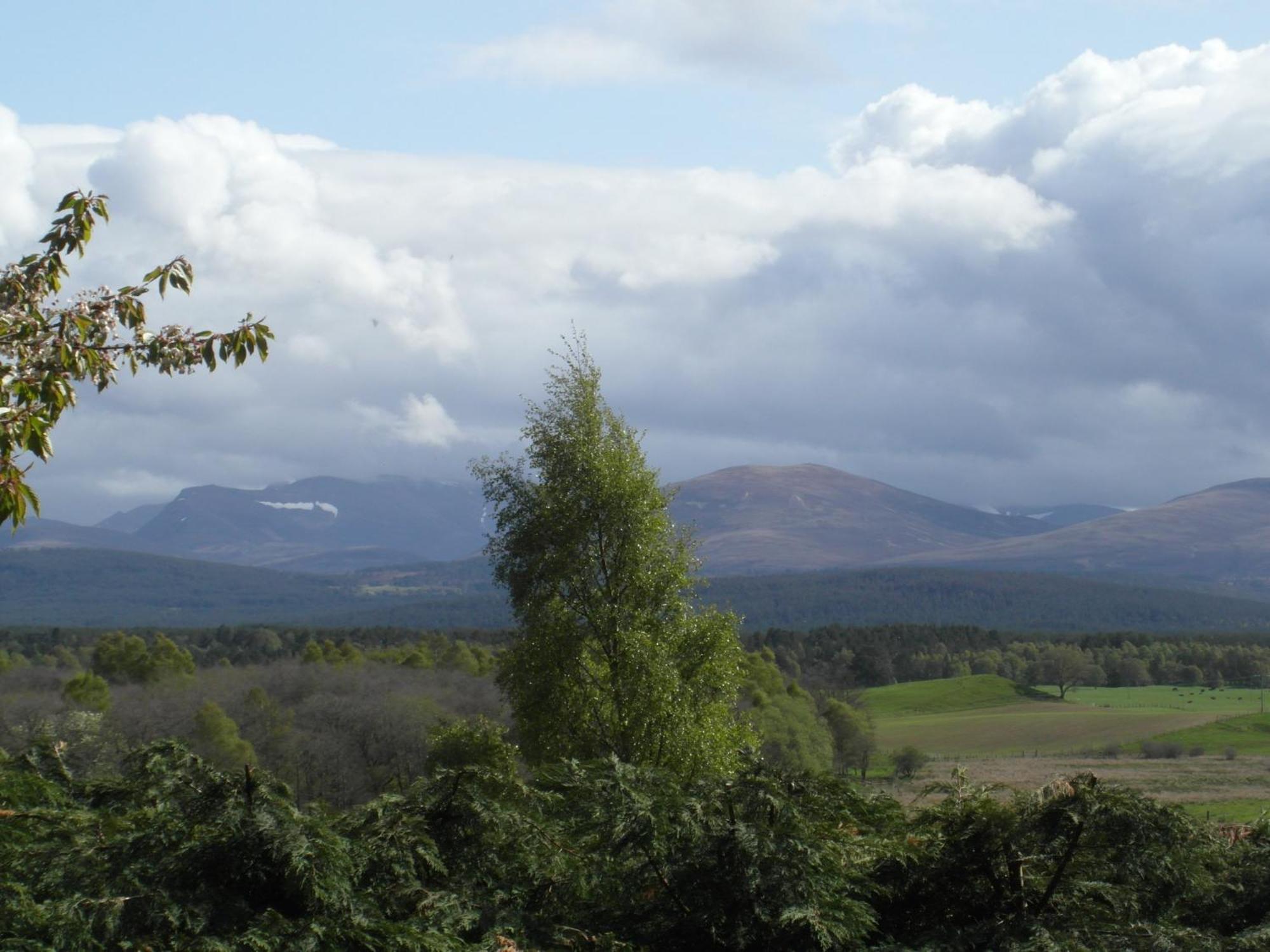 Amazing Cottage With Private Indoor Swim Pool And Hot Tub Grantown-on-Spey Εξωτερικό φωτογραφία